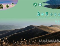 乌云界中华虎凤蝶